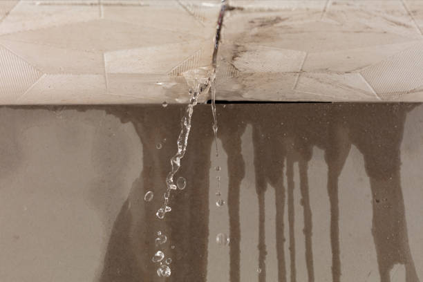 Professional Water Damage Repair technician working in Belleville, MI